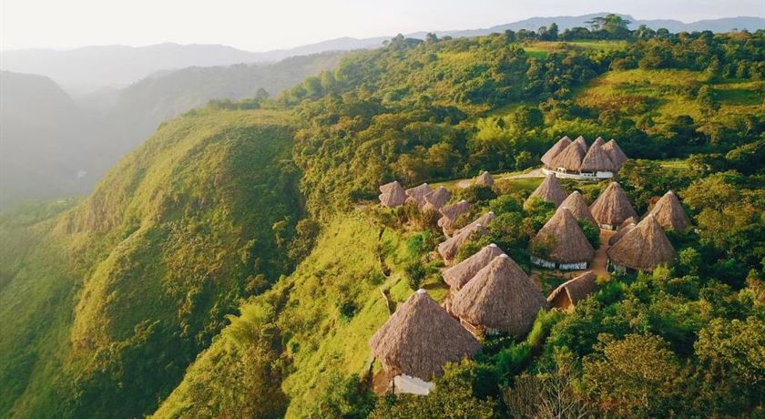 Ceiba by Masaya Collection